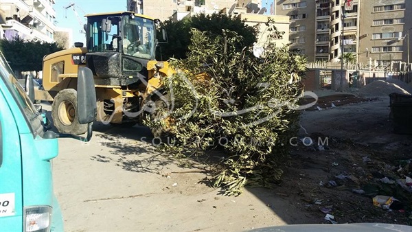 تحسين البيئة تباشر أعمال النظافة ببورفؤاد (صور) تحسين البيئة تباشر أعمال النظافة ببورفؤاد (صور)