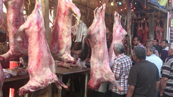 بالصور.. السورية لمى سلطان تنتهى من تسجيل أغنيتها الجديدة