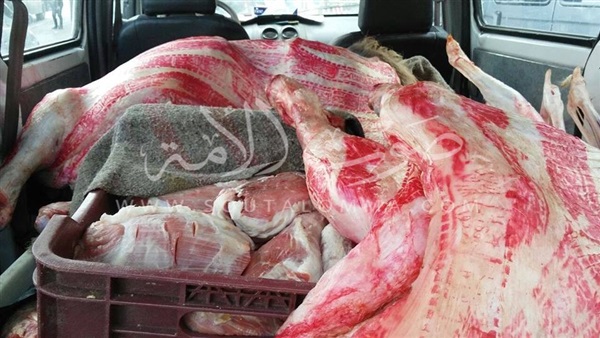 ضبط 5 أفراد لتزويرهم أختام مجازر اللحوم الحكومية بالجيزة (صور)