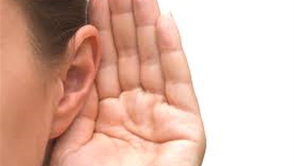 5 أطعمة تحفظ لكي سمعك.. تعرفي عليها 5 أطعمة تحفظ لكي سمعك.. تعرفي عليها