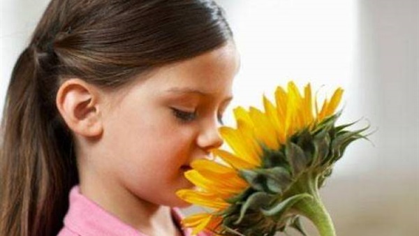 سوء التغذية من أسباب ضعف حاسة الشم