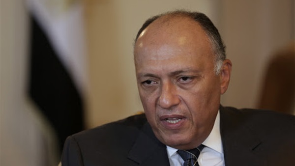 شكري ينقل رسالة شفهية من السيسي إلي «السبسي»