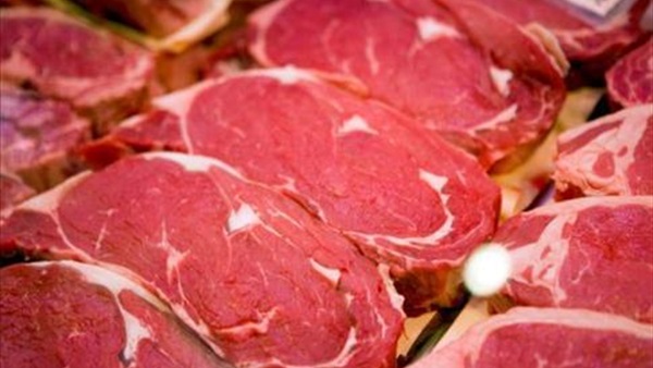 علماء يطورون اللحوم معمليا عن طريق الخلايا الجذعية المأخوذة من البقر علماء يطورون اللحوم معمليا عن طريق الخلايا الجذعية المأخوذة من البقر