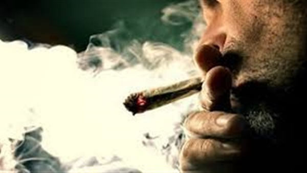 دراسة تحذر من خطورة استهلاك الشباب الفرنسي للكحوليات والحشيش في سن مبكر دراسة تحذر من خطورة استهلاك الشباب الفرنسي للكحوليات والحشيش في سن مبكر