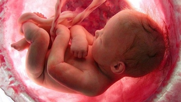 دراسة تكشف مدى تأثير خلايا الأجنة على جسم الأم الحامل