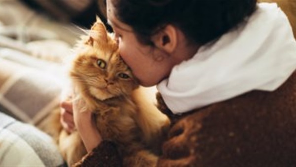 10 أسباب تجعل الفتاة عاشقة القطط