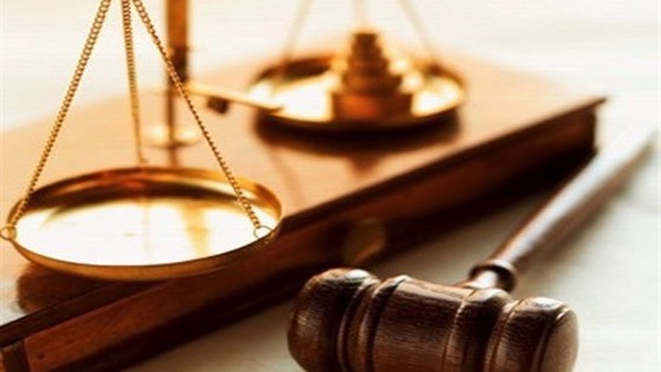 اليوم.. استكمال محاكمة البرلمانى السابق «الفخرانى» اليوم.. استكمال محاكمة البرلمانى السابق «الفخرانى»