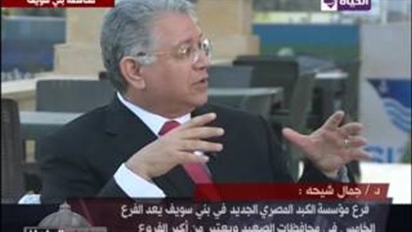 رئيس «الكبد المصري»: 4 آلاف جنيه تكلفة علاج مريض فيروس سي (فيديو)