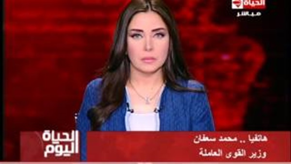 وزير القوى العاملة يزف بشرى سارة للشباب (فيديو) وزير القوى العاملة يزف بشرى سارة للشباب (فيديو)