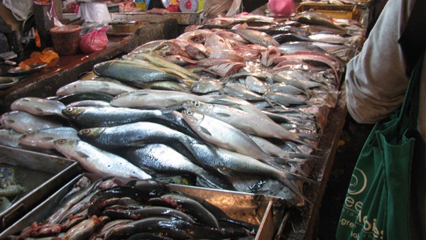 ننشر أسعار الخضروات والفواكه والأسماك بسوق العبور‎