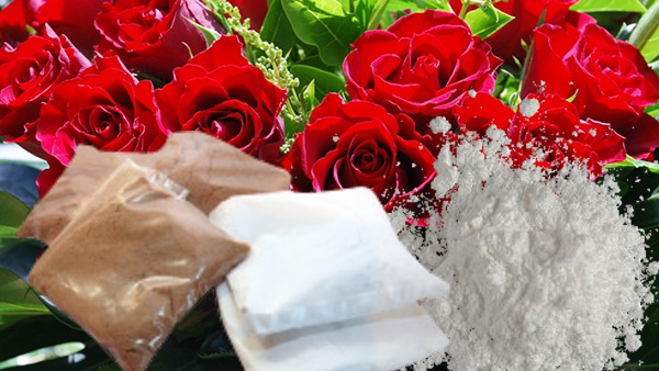 عيد حب بدون مخدرات.. كولومبيا تمنع تهريب الكوكايين وسط الورود