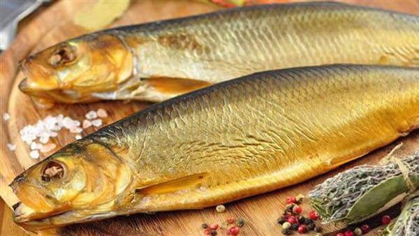 دراسة طبية تؤكد أهمية تناول الأسماك والرنجة أسبوعيا