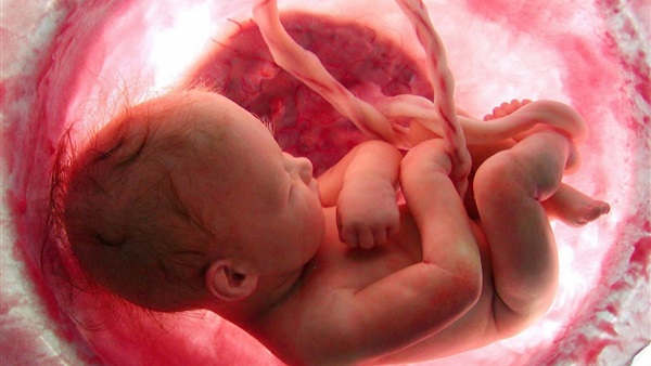 خلى بالك من الجنين داخل الرحم.. التلوث يتسبب فى ولادته مبكرا ويعرضه للأمراض