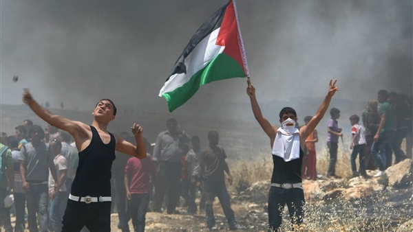 قيادي بـ «تمرد غزة»: سياسة «السنوار» لا يمكن تطبيقها على حماس