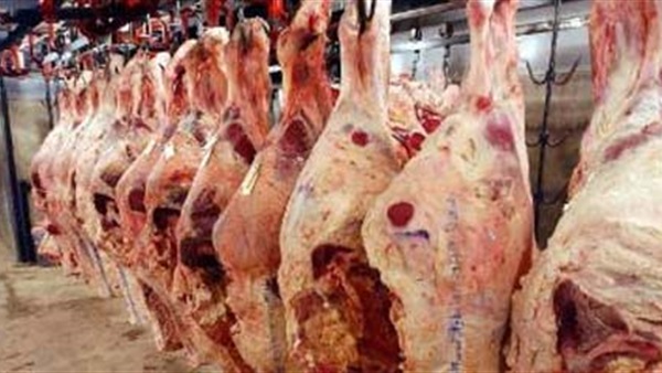ضبط كمية من اللحوم الفاسدة بحوزة متعهد أغذية بسوهاج
