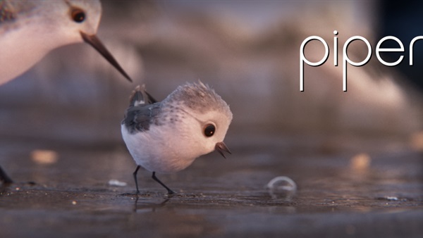 «Piper» يحصد جائزة أفضل فيلم أنيمشن قصير (Oscars 2017) «Piper» يحصد جائزة أفضل فيلم أنيمشن قصير (Oscars 2017)