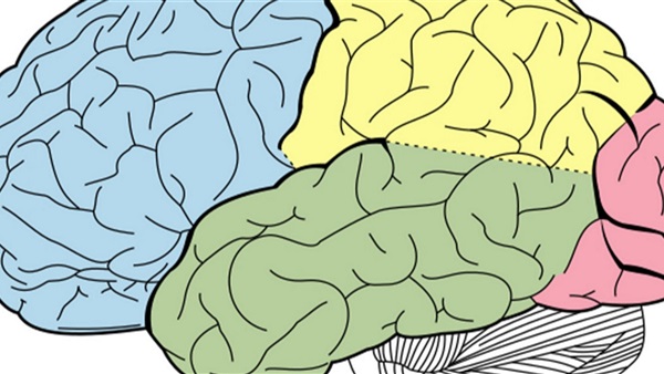 دراسة علمية: التفكير السلبي يدمر خلايا المخ ويضعف الذاكرة