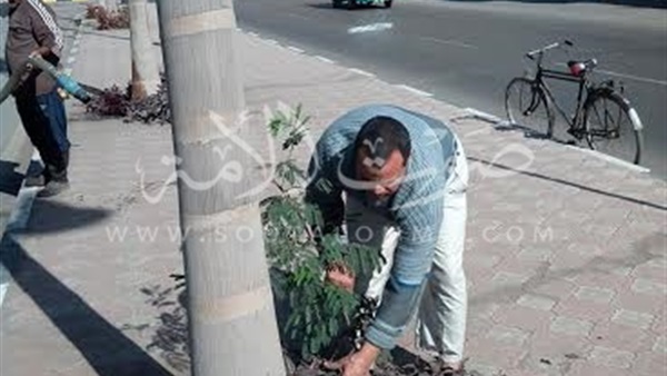 بالصور.. تطوير شوارع وميادين حى غرب شبين الكوم بالصور.. تطوير شوارع وميادين حى غرب شبين الكوم