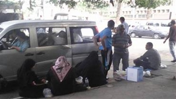 مرشح يوزع «الفراخ» على الناخبين فى القليوبية