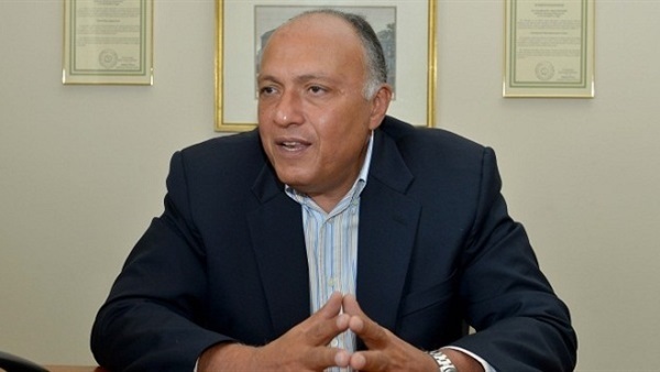 «شكري» يدعو المعارضة السورية للوصول إلى رؤية موحدة «شكري» يدعو المعارضة السورية للوصول إلى رؤية موحدة