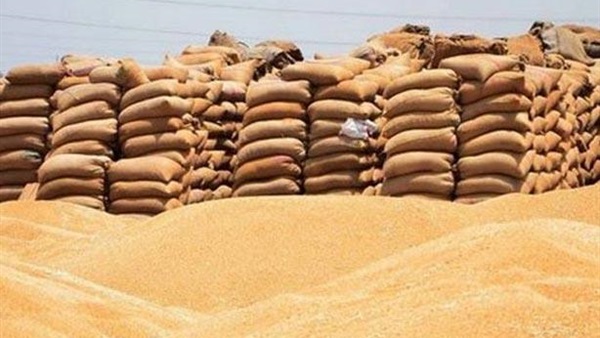 وصول 63 ألف طن قمح استرالى و100 شاحنة بضائع لميناء سفاجا وصول 63 ألف طن قمح استرالى و100 شاحنة بضائع لميناء سفاجا
