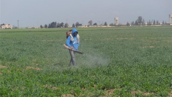 «الزراعة» تنفذ خطة لرفع كفاءات فرق مكافحة المبيدات المغشوشة