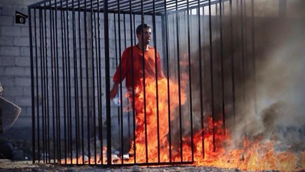 شبح الطيار الأردني المحروق يظهر من جديد في سوريا شبح الطيار الأردني المحروق يظهر من جديد في سوريا