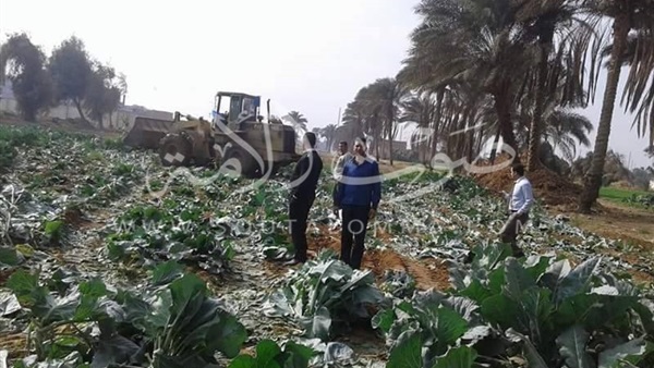 محافظ الجيزة: حملات مكثفة لمنع رى الأراضى بمياه الصرف محافظ الجيزة: حملات مكثفة لمنع رى الأراضى بمياه الصرف