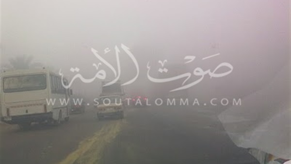 «عمليات بني سويف»: تأخر فتح 23 لجنة بسبب «الشبورة»