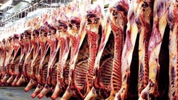 منافذ لبيع اللحوم البلدية بـ60 جنيه للكيلو بمركز أبو قرقاص 