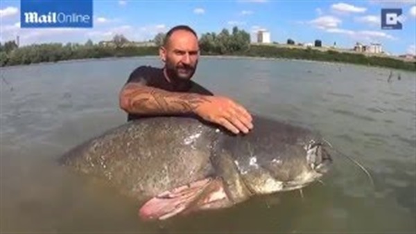 بالفيديو .. إيطالي يصطاد سمكة عملاقة وزنها 120 كيلو جرام
