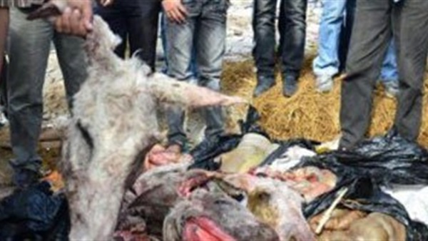 أهالى كفرالشيخ يعثرون على حمير مذبوحة أهالى كفرالشيخ يعثرون على حمير مذبوحة