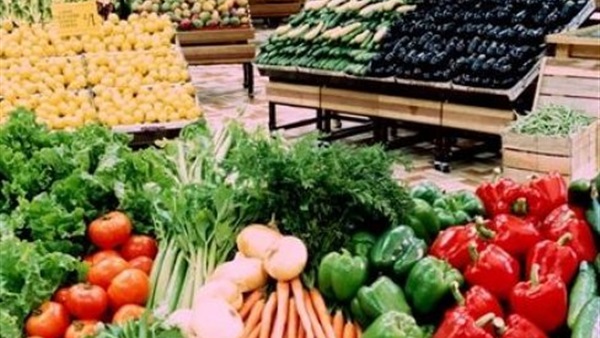 «الزراعة»: 2.6 صادارت مصر من الخضر والفاكهة هذا العام