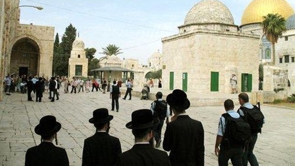 مستوطنون متطرفون يقتحمون باحات المسجد الأقصى مستوطنون متطرفون يقتحمون باحات المسجد الأقصى