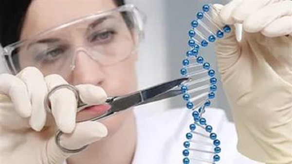 مجلة تصف اختراع محرر الحمض النووي بأنه أهم اختراق علمي في العام الجاري