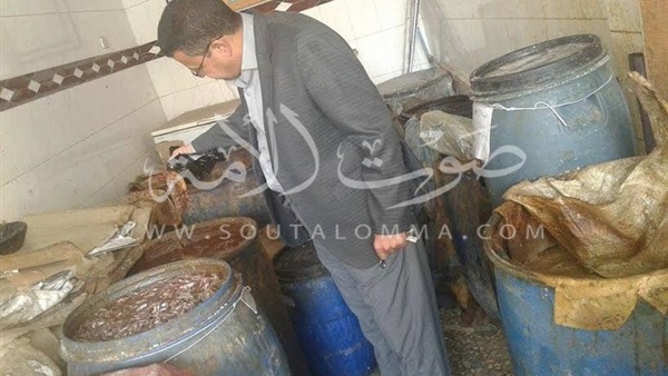 بالصور .. ضبط 3 أطنان سمك غير صالحة للاستخدام الآدمى بالدقهلية بالصور .. ضبط 3 أطنان سمك غير صالحة للاستخدام الآدمى بالدقهلية
