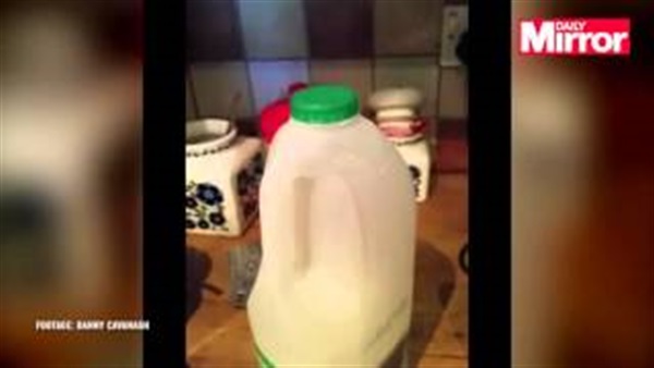 بالفيديو.. رجل يصور «شبح» يعبث داخل مطبخ شقته بالفيديو.. رجل يصور «شبح» يعبث داخل مطبخ شقته