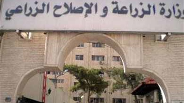 «الزراعة»: خطة لمضاعفة الصادرات خلال عام 2016 «الزراعة»: خطة لمضاعفة الصادرات خلال عام 2016