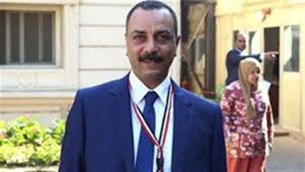 «الطماوي» يرحب بتعين «عدلي منصور» رئيسًا للبرلمان