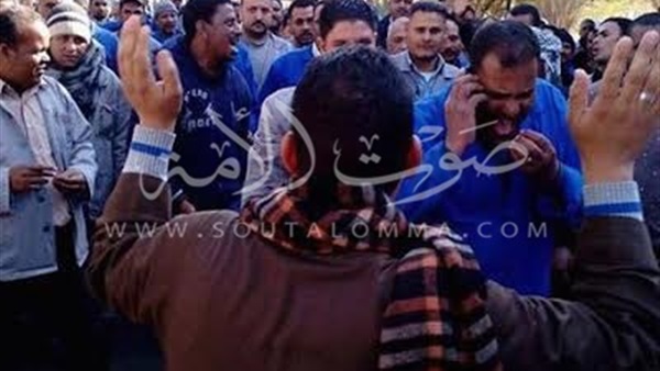 بالصور.. عمال مصنع الألمنيوم بنجع حمادي يواصلون اعتصامهم لحين تنفيذ مطالبهم بالصور.. عمال مصنع الألمنيوم بنجع حمادي يواصلون اعتصامهم لحين تنفيذ مطالبهم