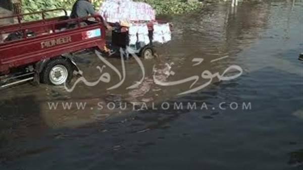 «سوق الجمعة» بالإسماعلية بين نار «الأهالي» و«الباعة».. إزدحام شديد وإنتشار للأمراض للمنطقة.. و«المحافظة» تضع خطة للقضاء علية بالتعاون مع الشرطة «سوق الجمعة» بالإسماعلية بين نار «الأهالي» و«الباعة».. إزدحام شديد وإنتشار للأمراض للمنطقة.. و«المحافظة» تضع خطة للقضاء علية بالتعاون مع الشرطة