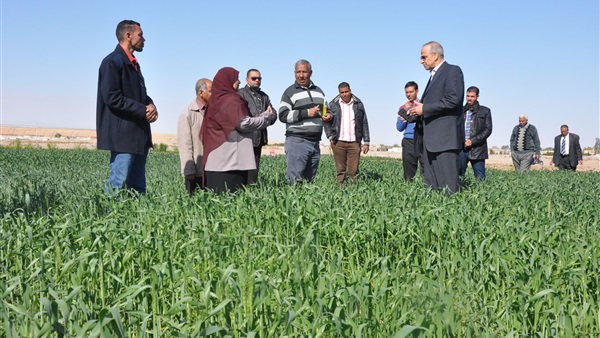 تخصيص أراض لإقامة مشروعات خدمية جديدة بالوادي الجديد