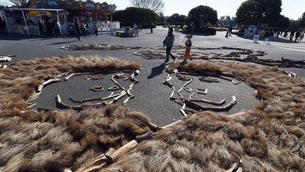 بالصور..اليابان تحتفل بعام "القرد" فى 2016 بالصور..اليابان تحتفل بعام "القرد" فى 2016