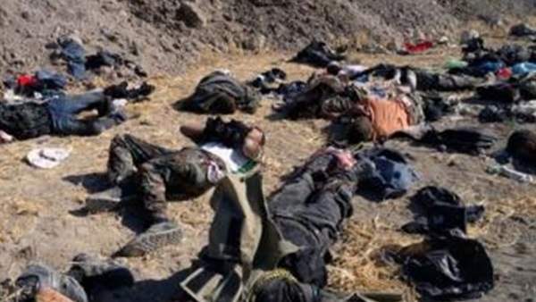 مقتل 40 من «داعش» بالفلوجة في النعيمية والثرثار بالأنبار