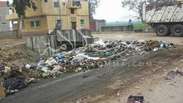 بالصور..حملة لنظافة شوارع الدقهلية بالصور..حملة لنظافة شوارع الدقهلية