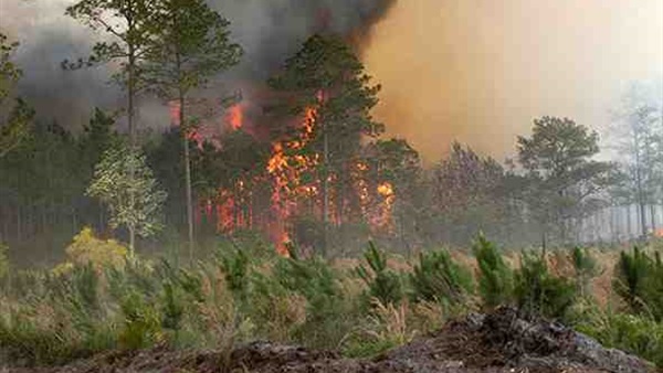 مصرع 3 أشخاص وتدمير 100 منزل في حريق غابات غرب استراليا