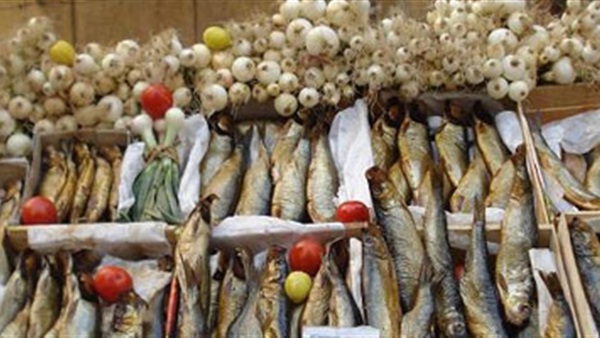 ضبط 27 كيلو أسماك غير صالحة للاستخدام في الإسماعيلية