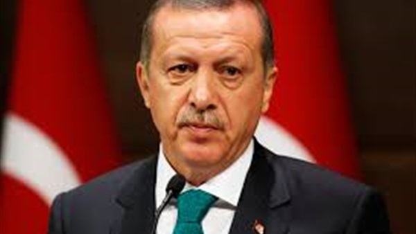 حكومة «العدالة والتنمية» التركية تنظم حملة لدعم تغيير النظام 