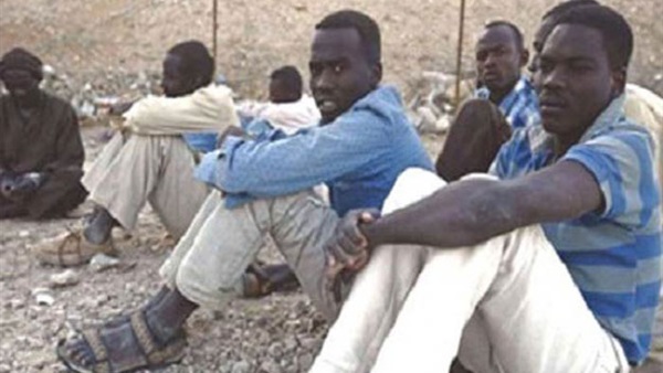 القبض على 16 متسللا سودانيا بوسط سيناء القبض على 16 متسللا سودانيا بوسط سيناء