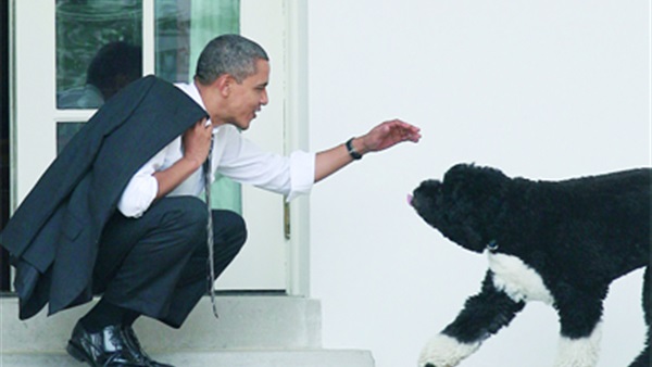 القبض على أمريكي يُخطط لسرقة «كلب» أوباما